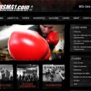 Website